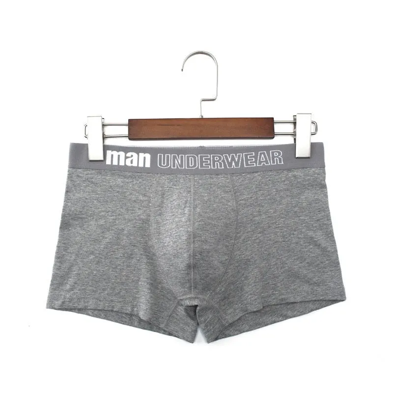 Mens Underwear Boxers Cotton Boxershorts Loose Men Brand Underpants