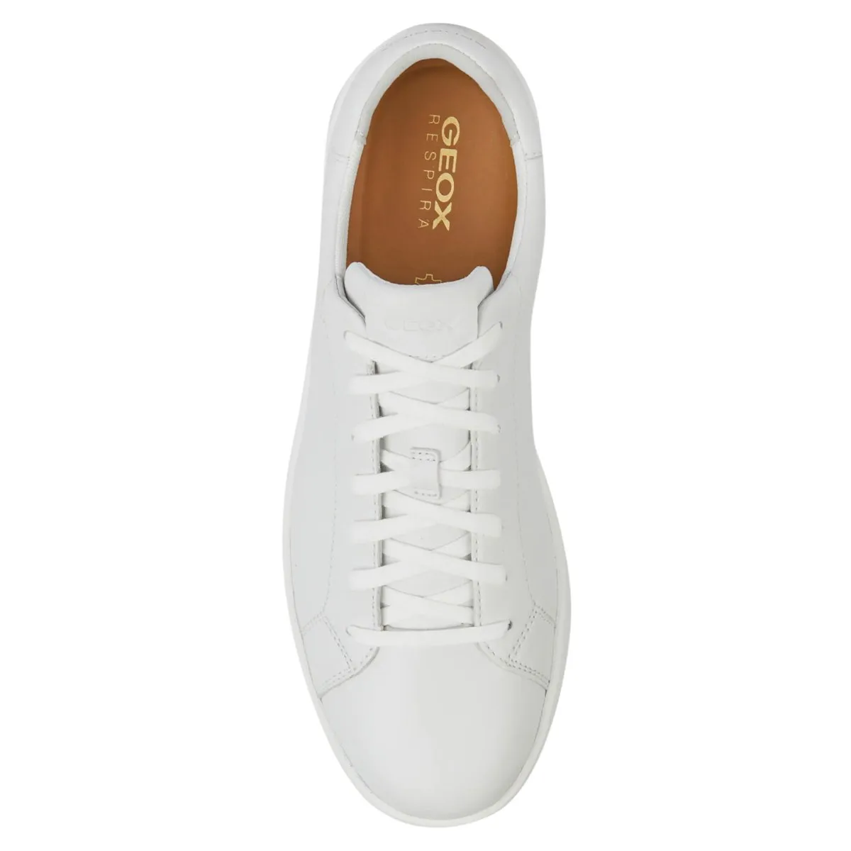 Geox Men's Spherica Ecub-1 White Leather