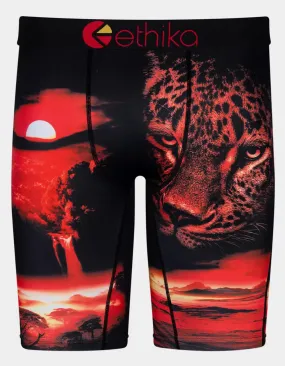 ETHIKA DARK SAFARI BRIEFS