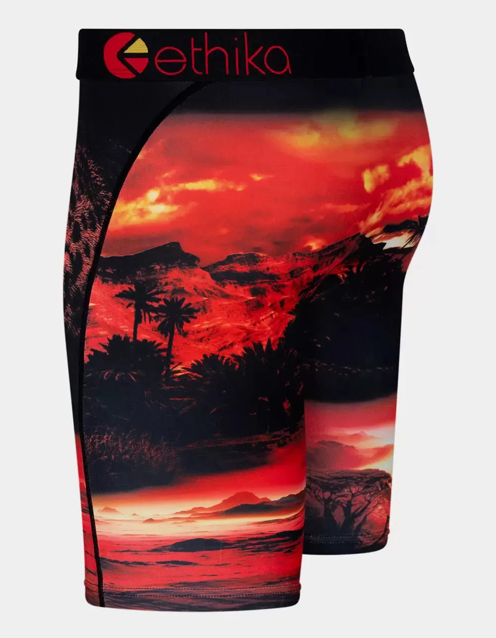 ETHIKA DARK SAFARI BRIEFS