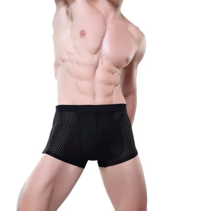 Mens Underwear Sexy Mesh Boxer Briefs Breathable Underpants