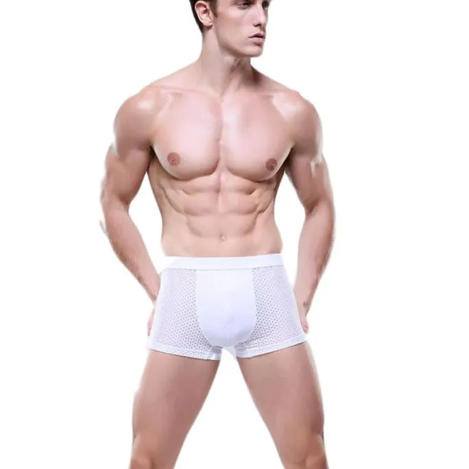 Mens Underwear Sexy Mesh Boxer Briefs Breathable Underpants