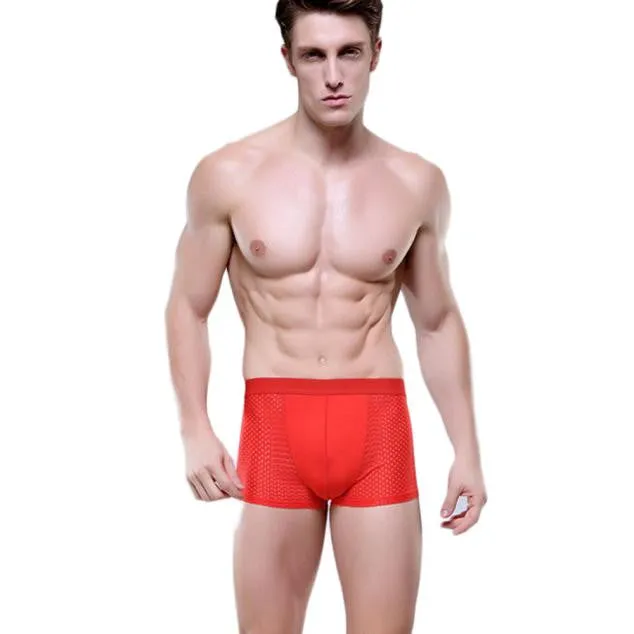 Mens Underwear Sexy Mesh Boxer Briefs Breathable Underpants