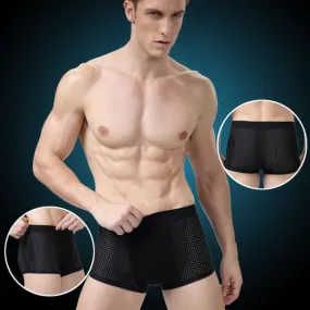 Mens Underwear Sexy Mesh Boxer Briefs Breathable Underpants